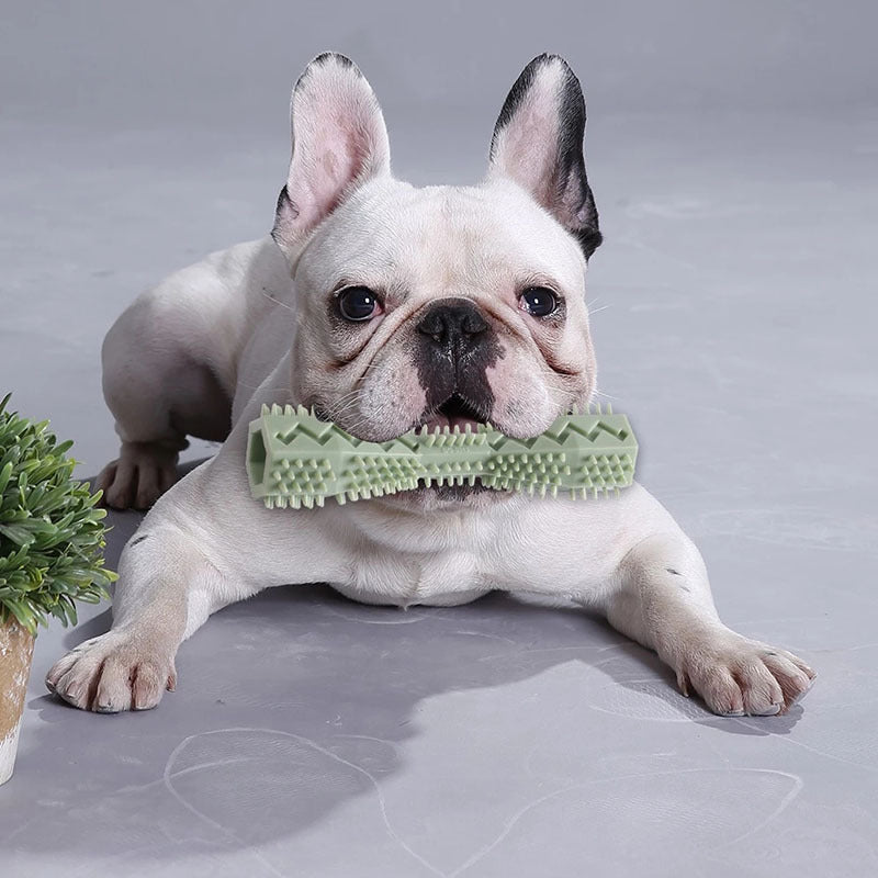 Dog Chew Toothbrush Toy