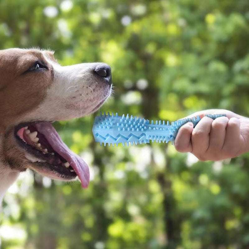 Dog Chew Toothbrush Toy