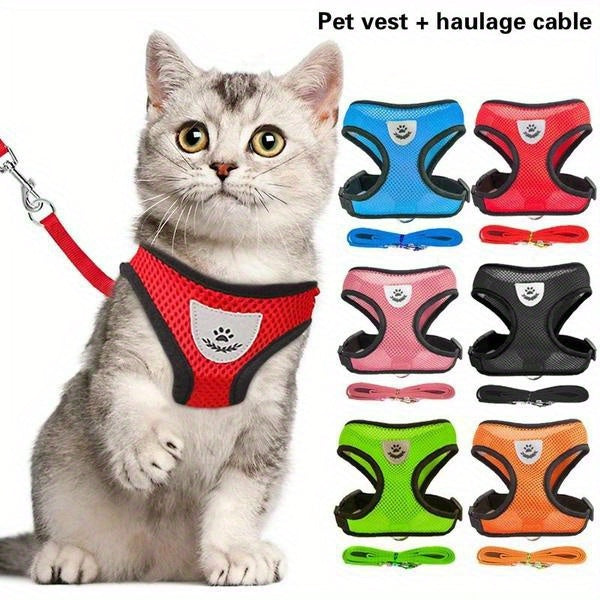 Comfy Pet Walking Gear