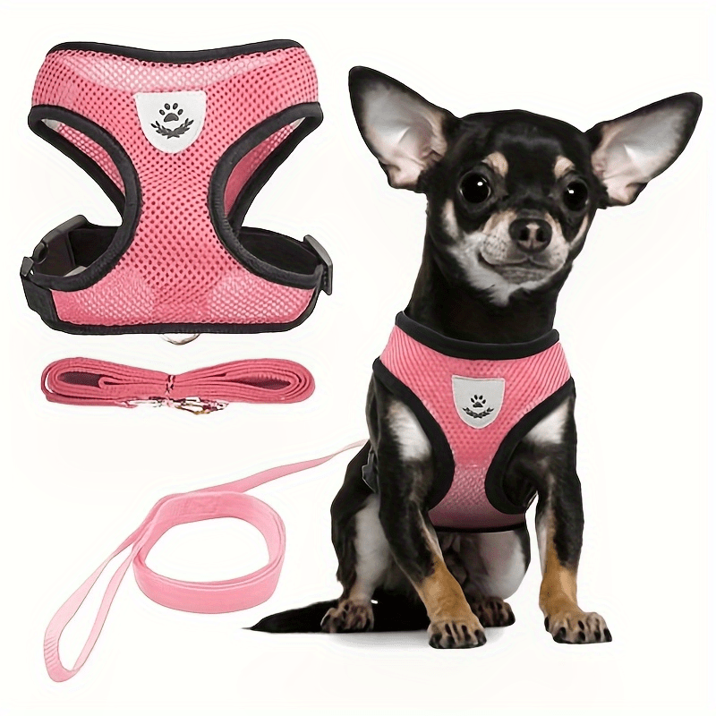 Comfy Pet Walking Gear