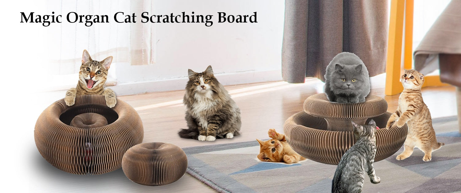 Smart Pet Fitness Play Ball (Happy Playtime Companion)