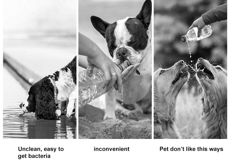 2-in-1 Pet Water Bottle