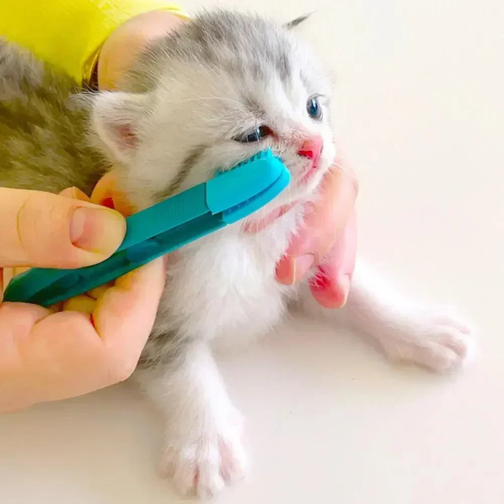 Gentle Kitten Eye Cleaning Brush