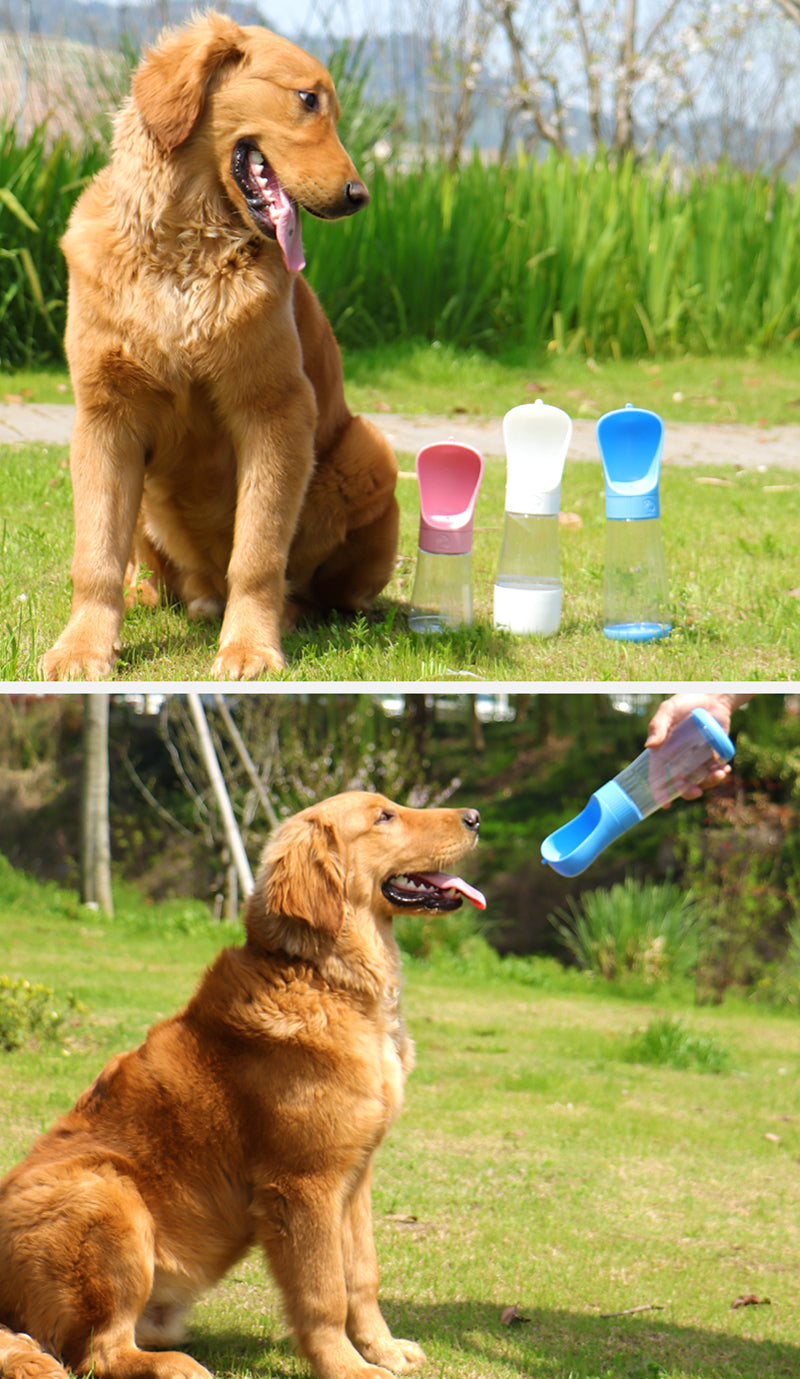 2-in-1 Pet Water Bottle