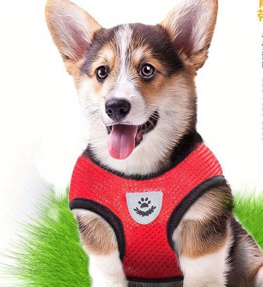 Comfy Pet Walking Gear
