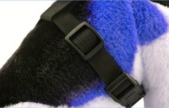 Comfy Pet Walking Gear