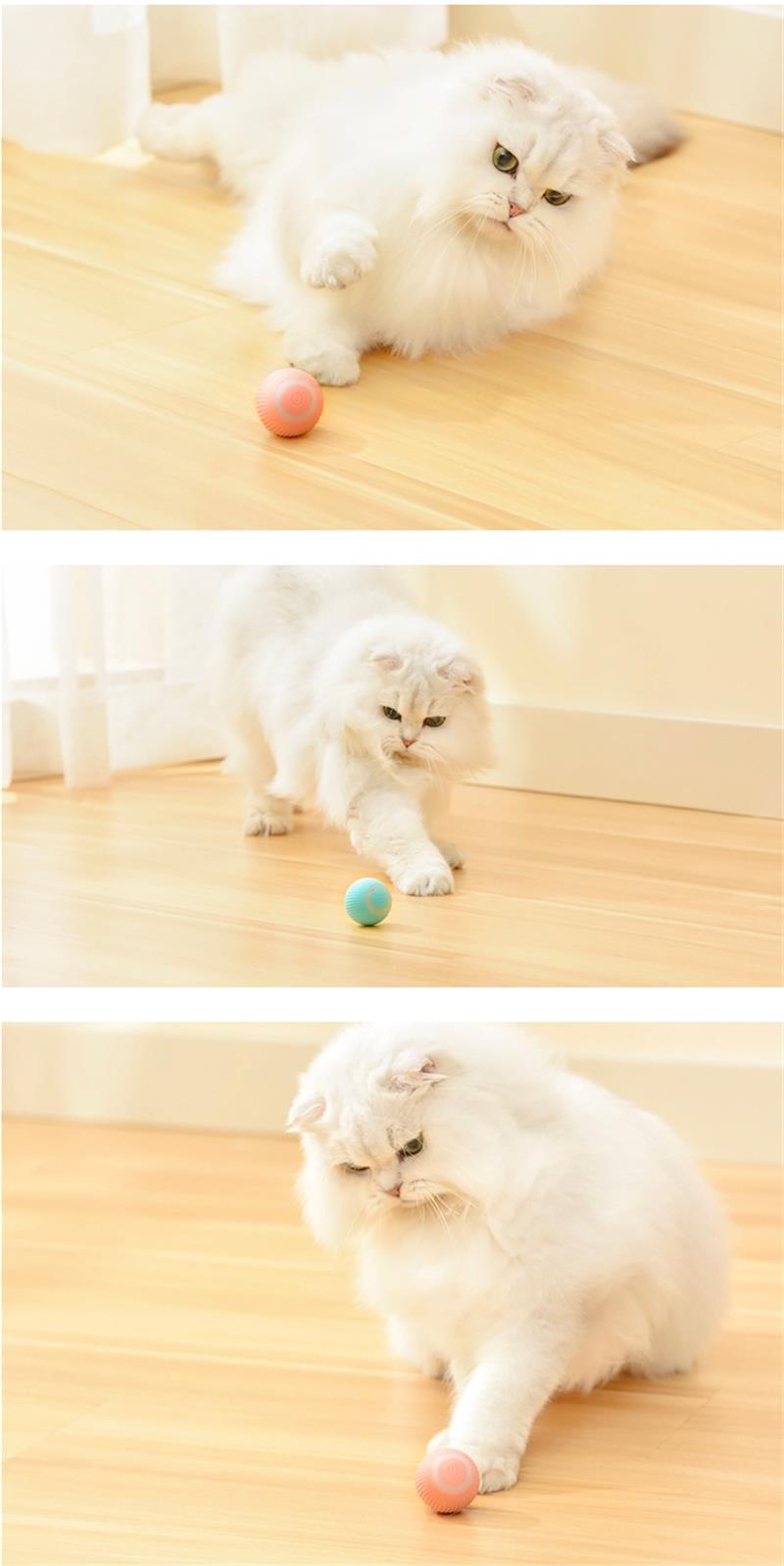 Smart Pet Fitness Play Ball (Happy Playtime Companion)